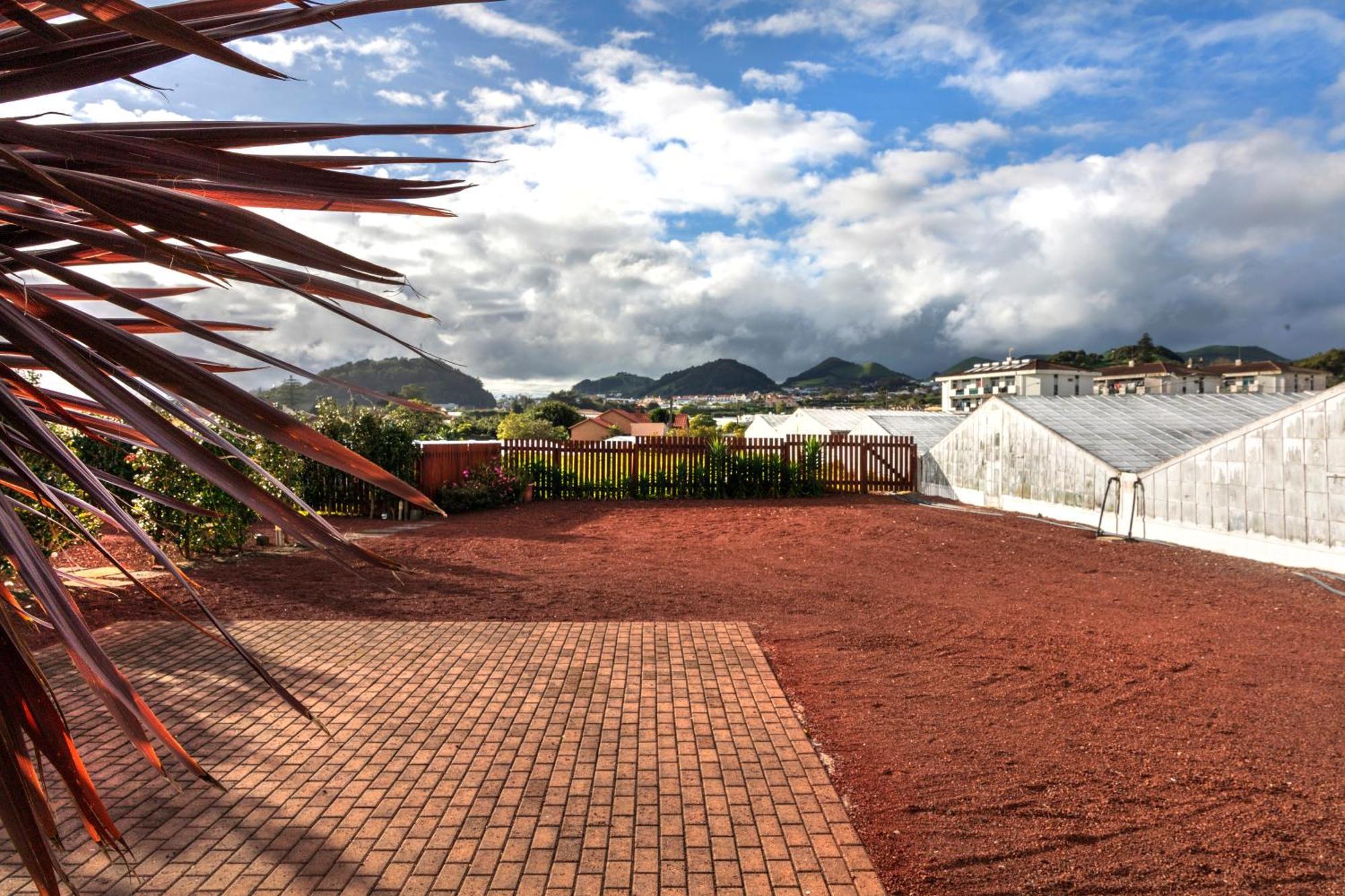 Holiday home Santa Rita Greenhouse